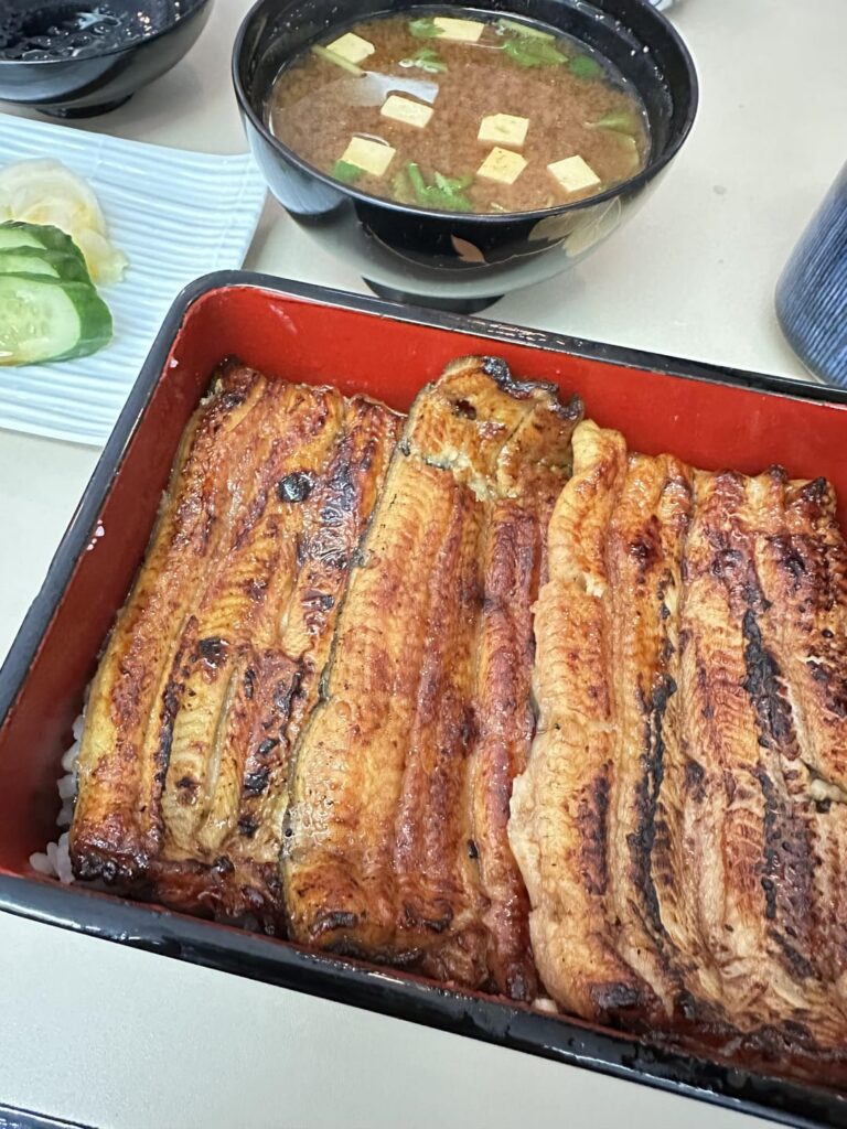 I never tried eel or onagi when I was in my country but I have to taste it out of curiosity in Japan. Turns out that it was so good!