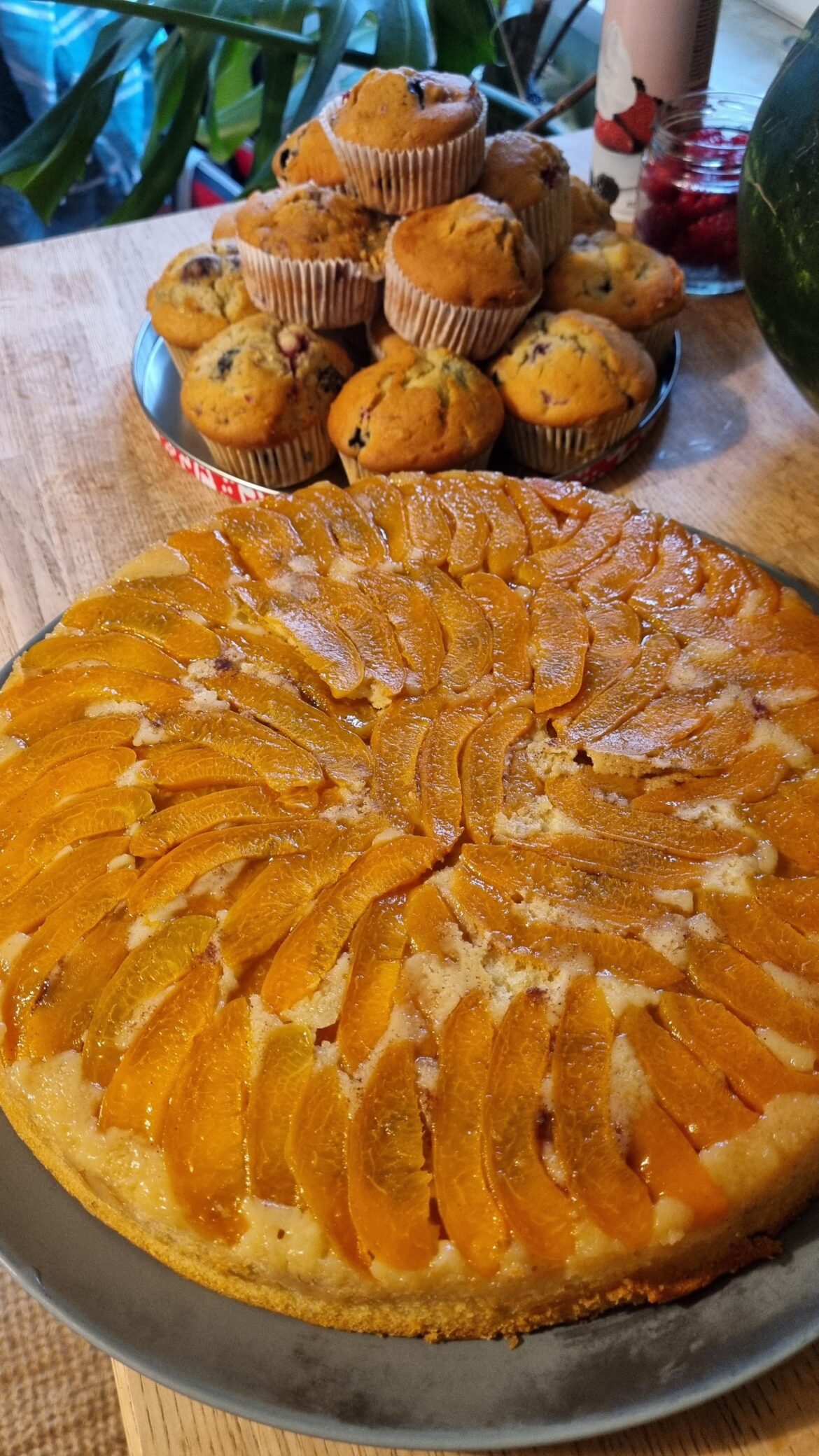 Blueberry muffins and apricot cake made from the same batter