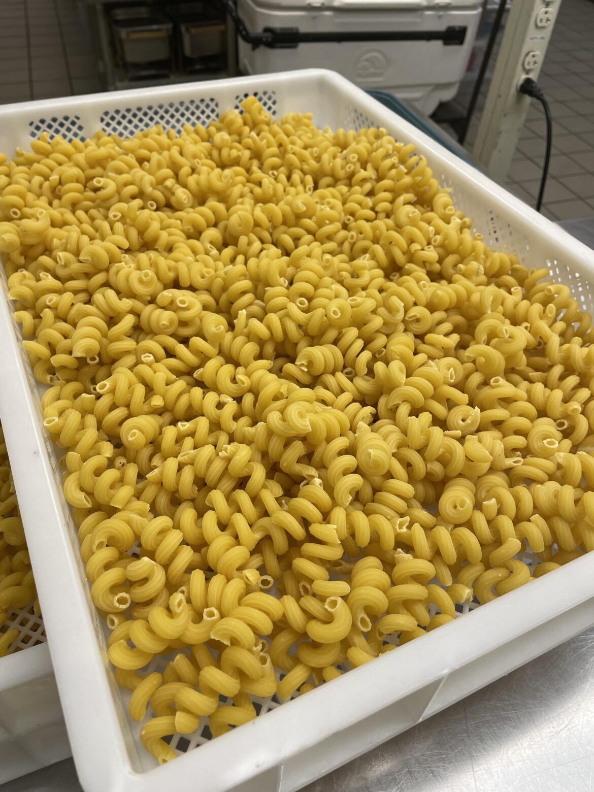 Extruder Pilots: I may have cracked the cavatappi Code