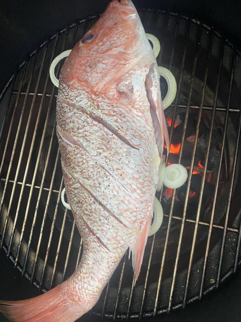 Fish help? Fish help?