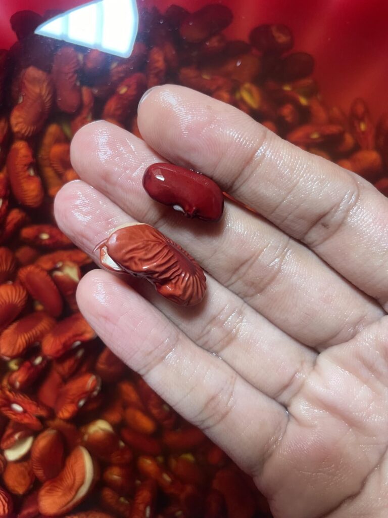 are these red kidney beans okay?