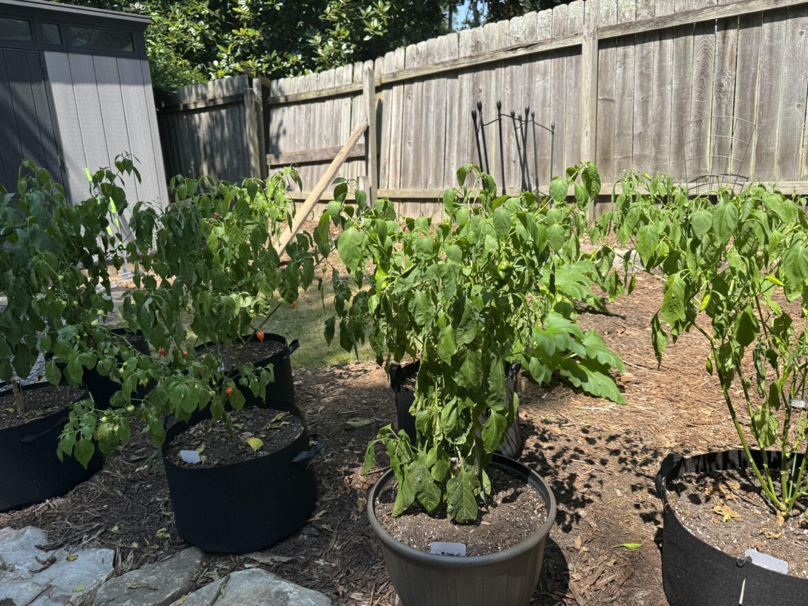 Why is this happening?