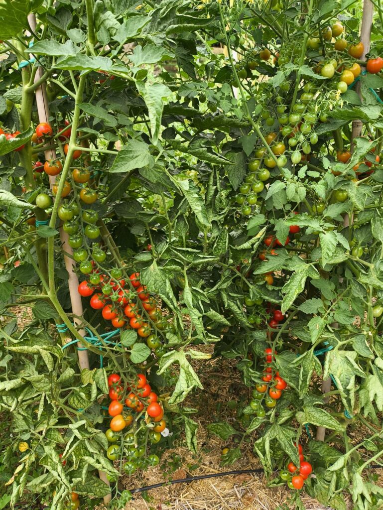 UPDATE: Before and after 2 months