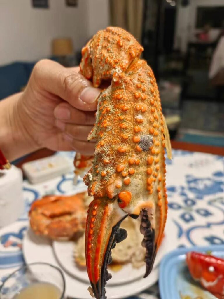 Crab with orange spikes and big claws [OC]