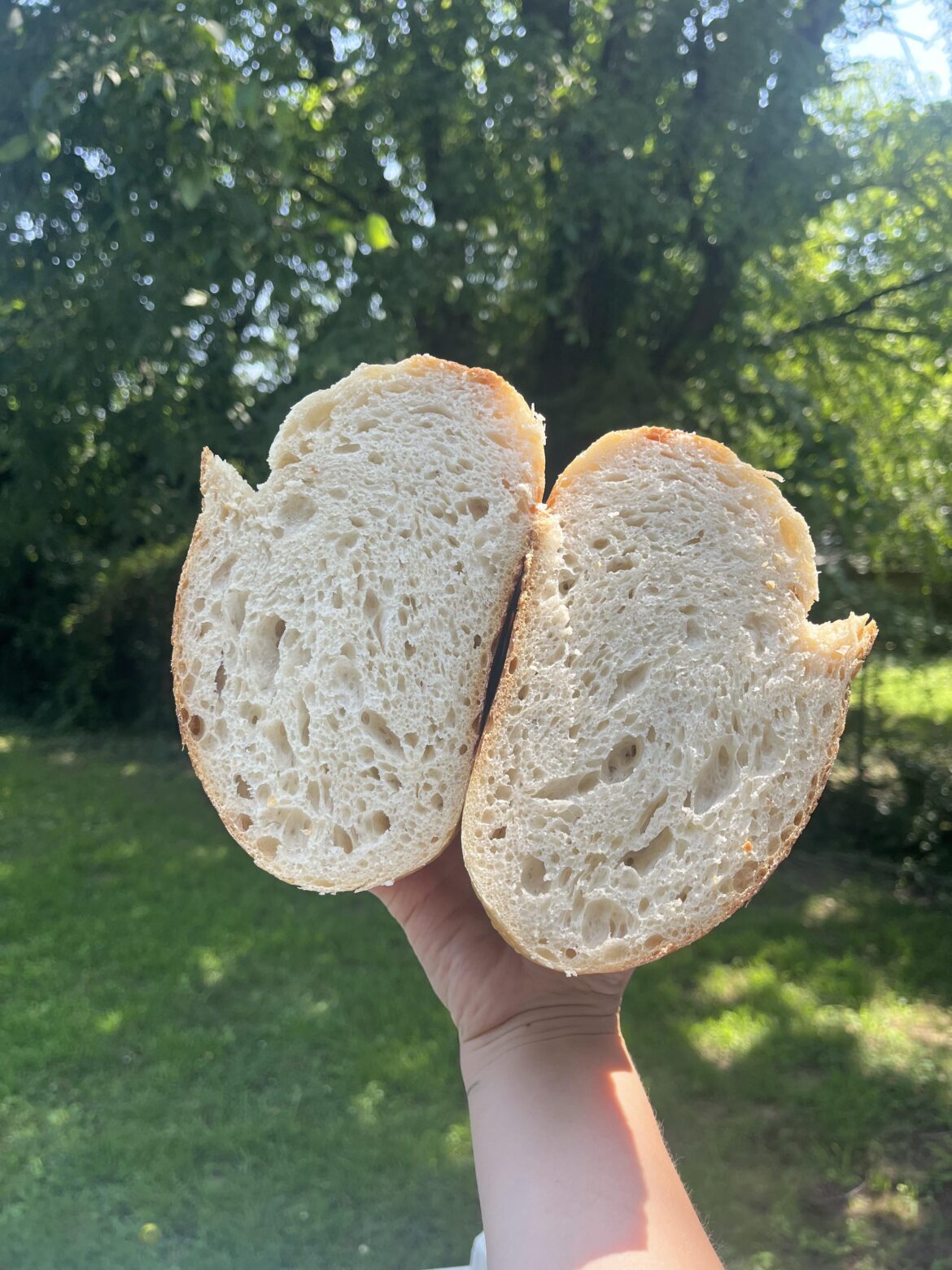 First loaf after leaving starter in the fridge for 2 months