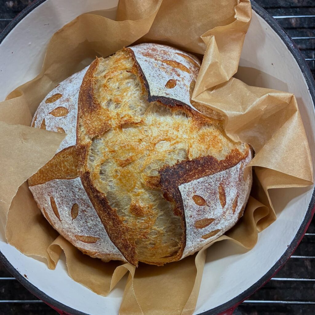 Some breads this year