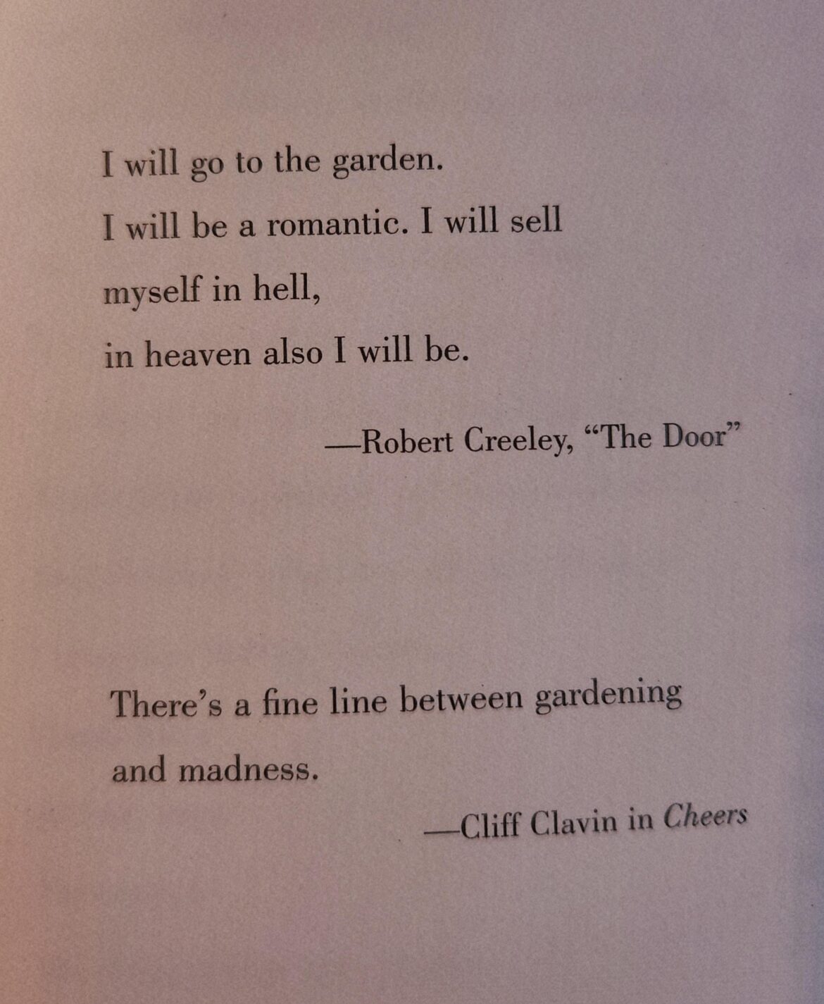 When my husband says we'll never grow enough veg's for a $300 fence!