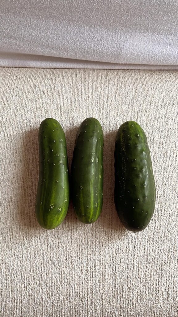 You guys 🥹 my first cucumber harvest! No way should I be this proud! 🫶🏽