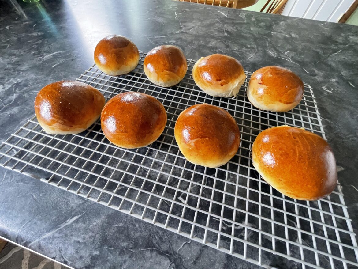 Good day for shiny buns