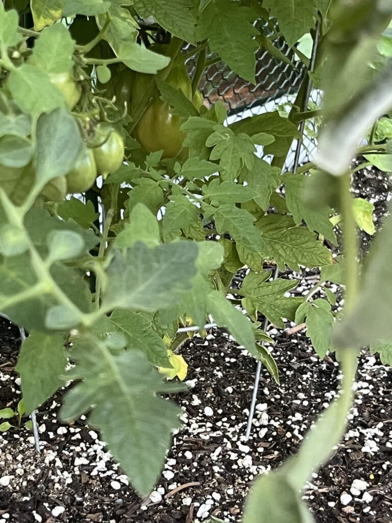 Omg, its happening!!! Omg, its happening!!!