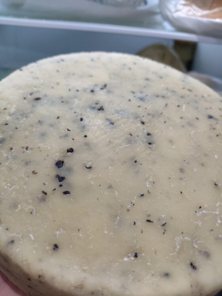 Caciott truffo black.