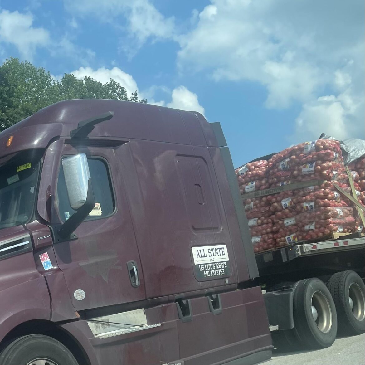 Our ship has come in, boys