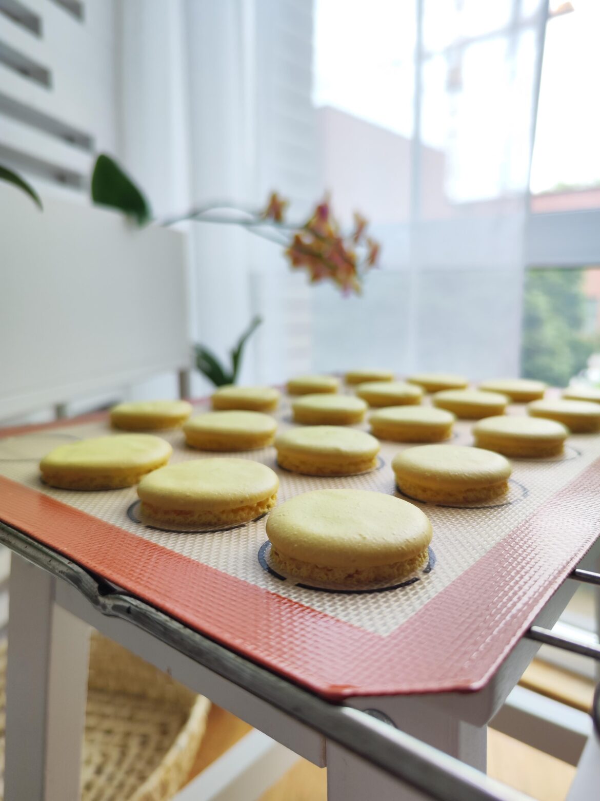 After of five days of trying...