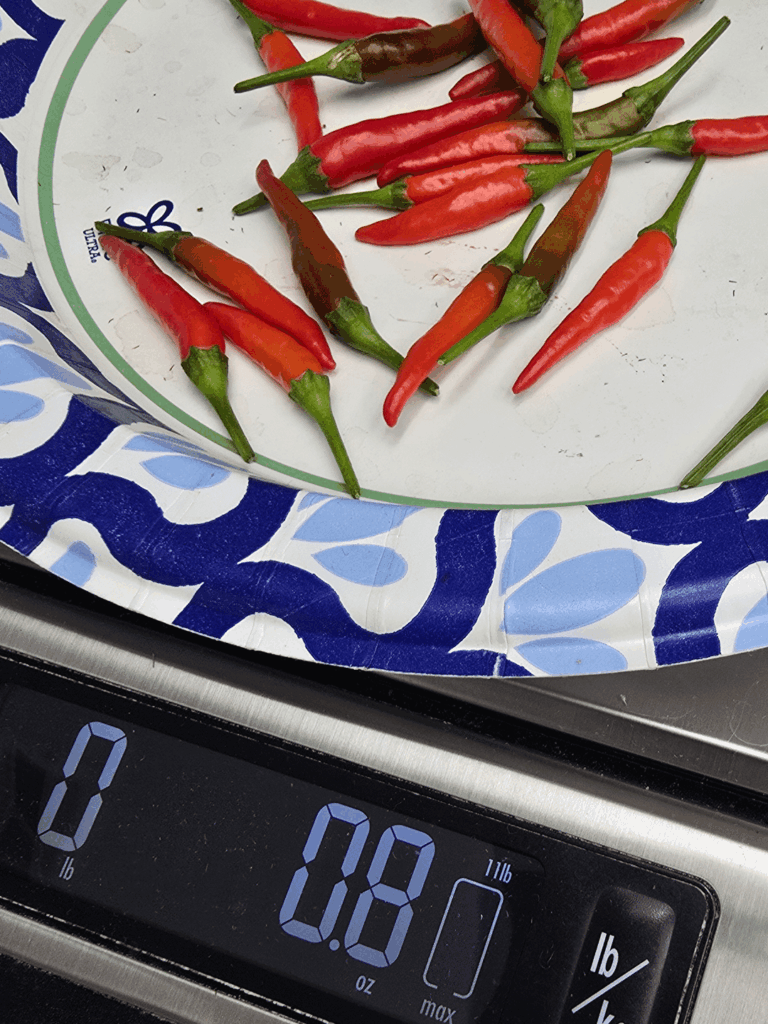 🔥 Feeling the burn (or, rather, not feeling it anymore)! 🔥