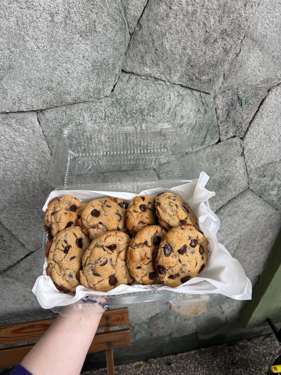 Some chocolate cookies