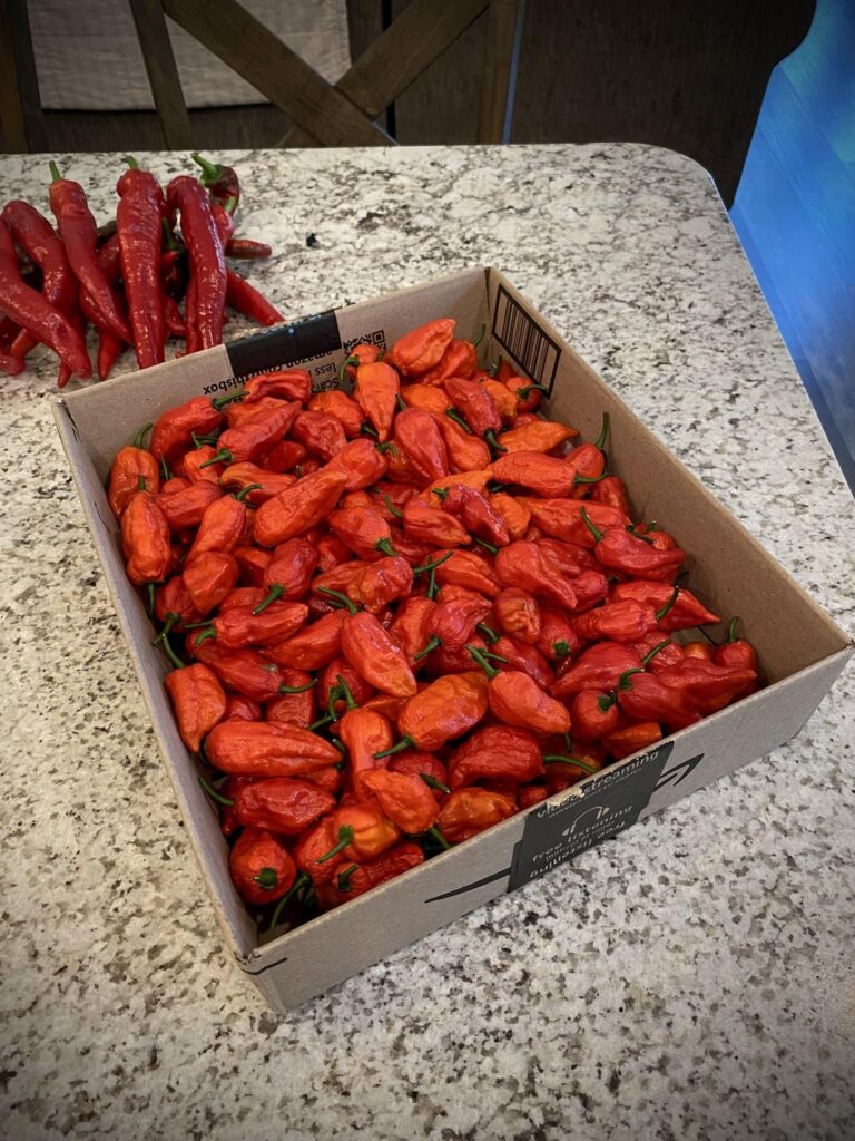 Ghost harvest count: 212