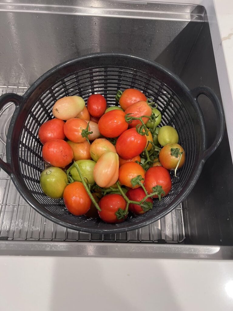 Never learned to can. So I freeze Never learned to can. So I freeze