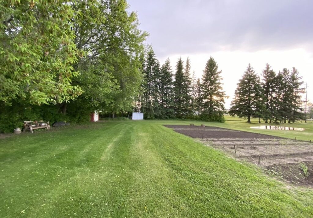 How it started versus how it’s going 🌻