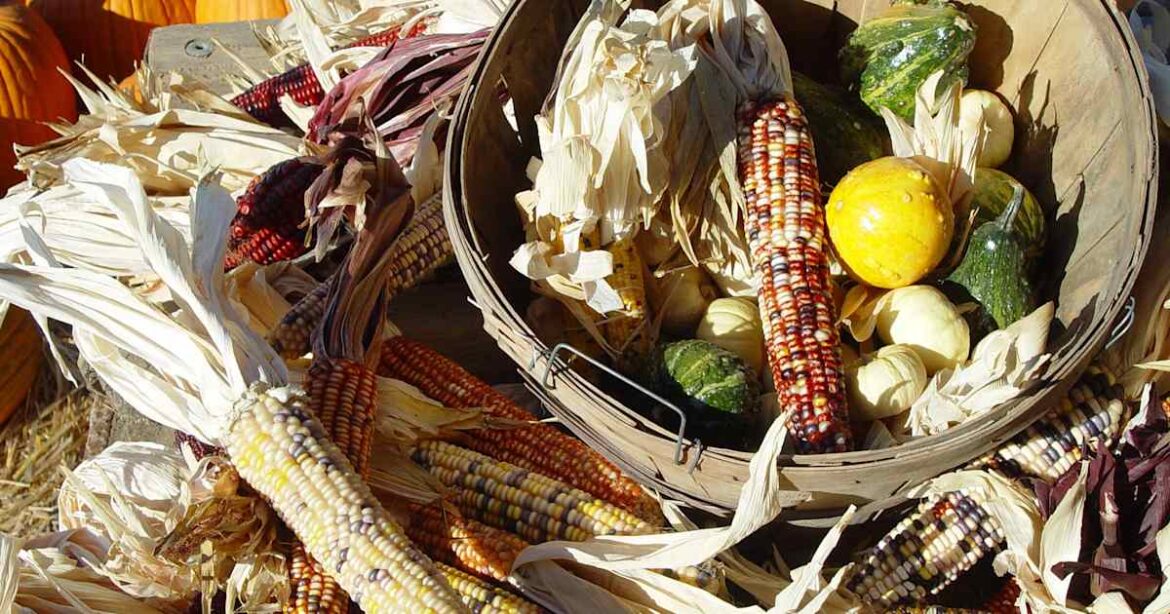 7 Foods Developed by Native Americans Dave Roos