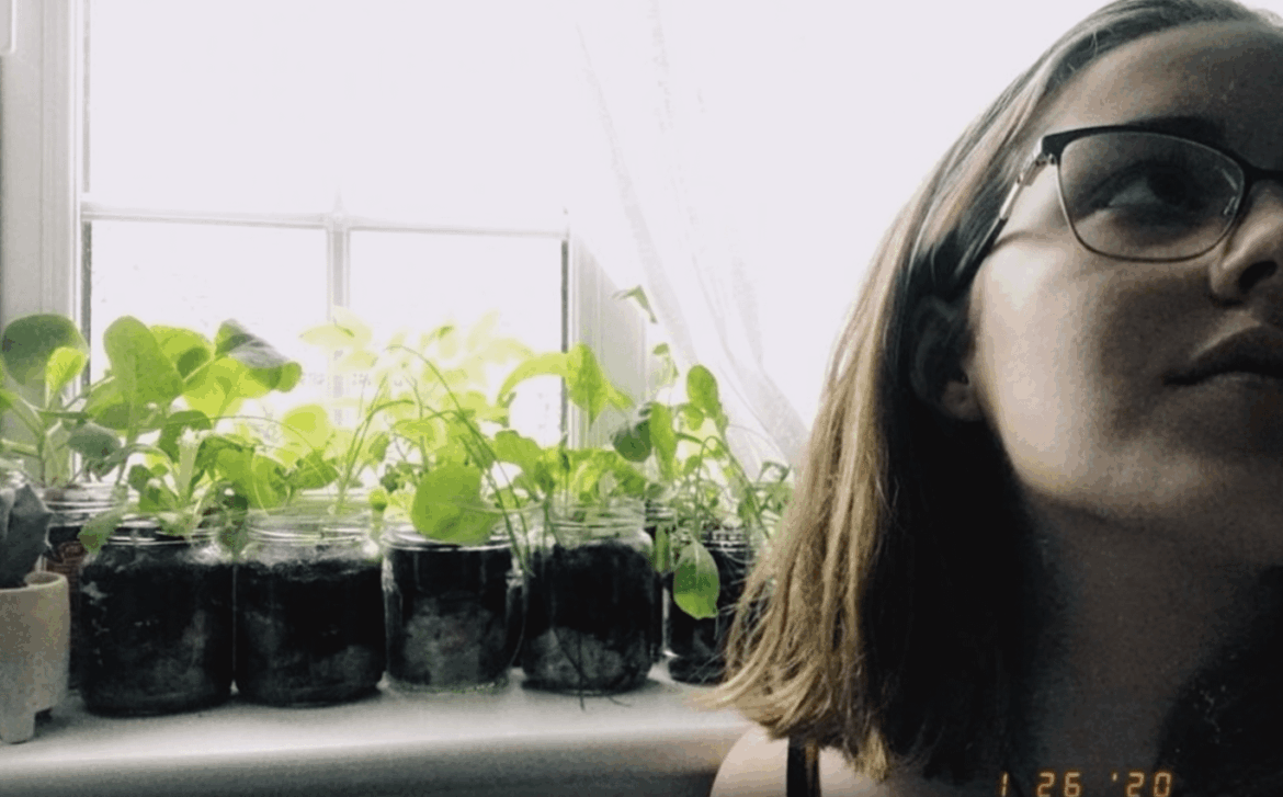 Veggies I've grown on my windowsill to save money + Cost breakdown and meal ideas