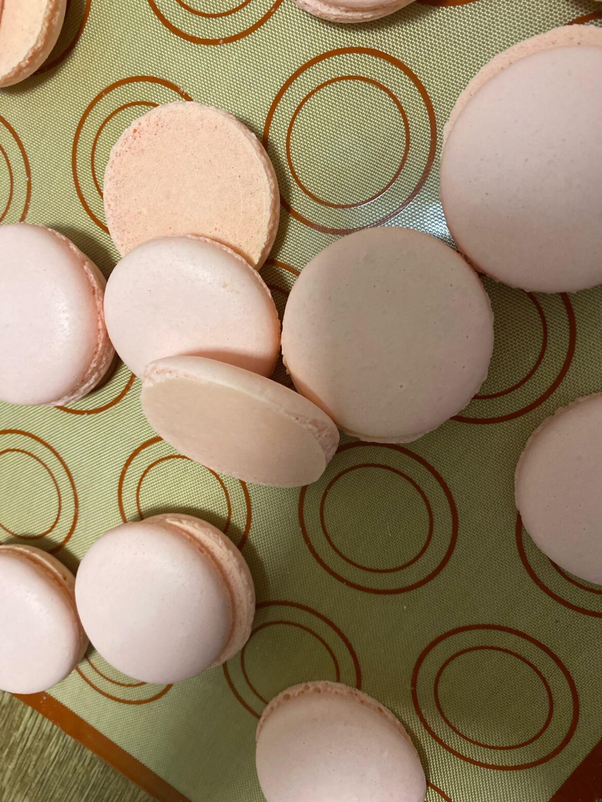 Lopsided shells Lopsided shells