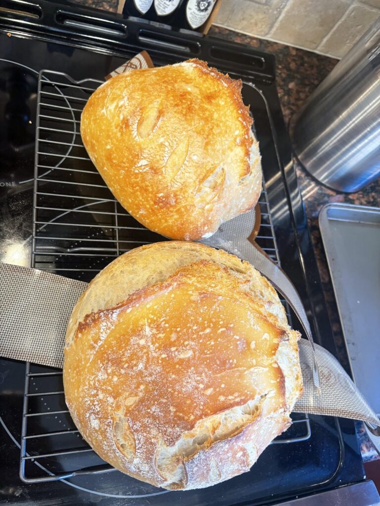 My first loaves!!! My first loaves!!!