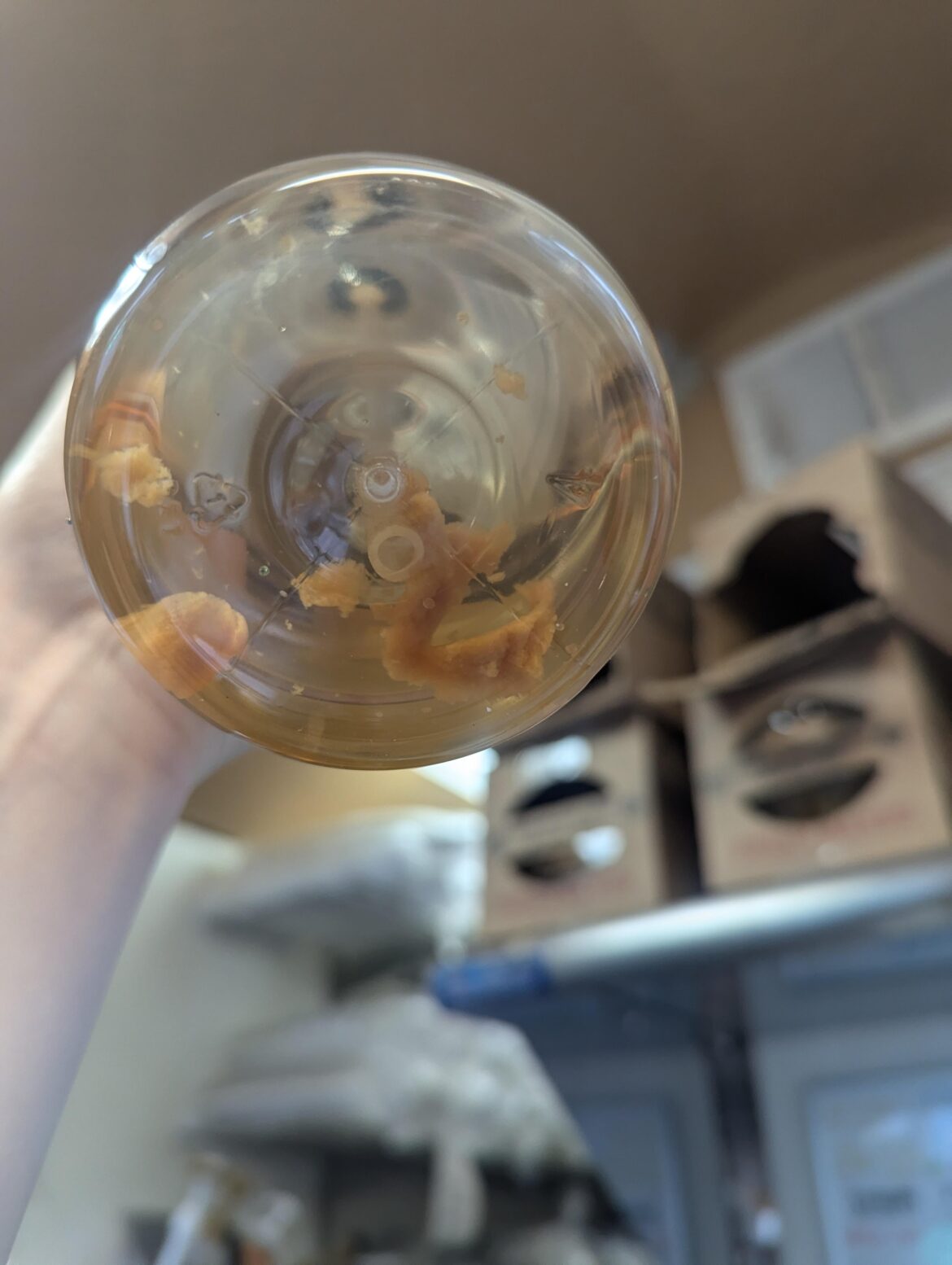 Floating substance in sugar free syrup