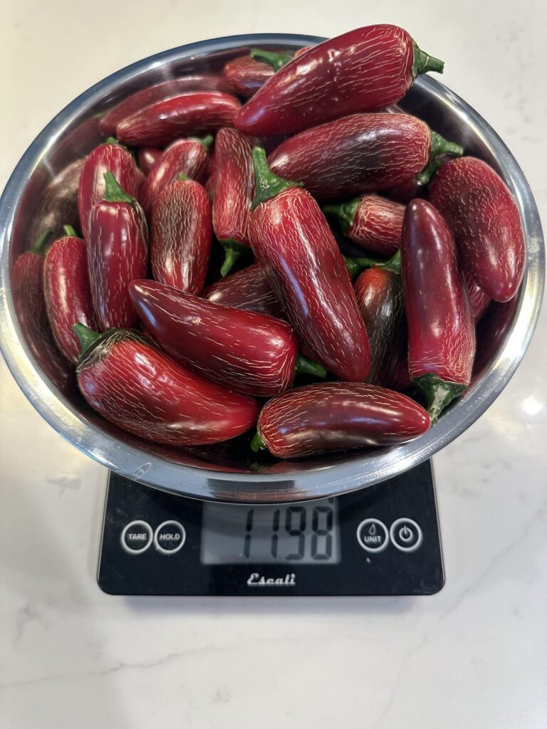 Another harvest, and a question… Another harvest, and a question…