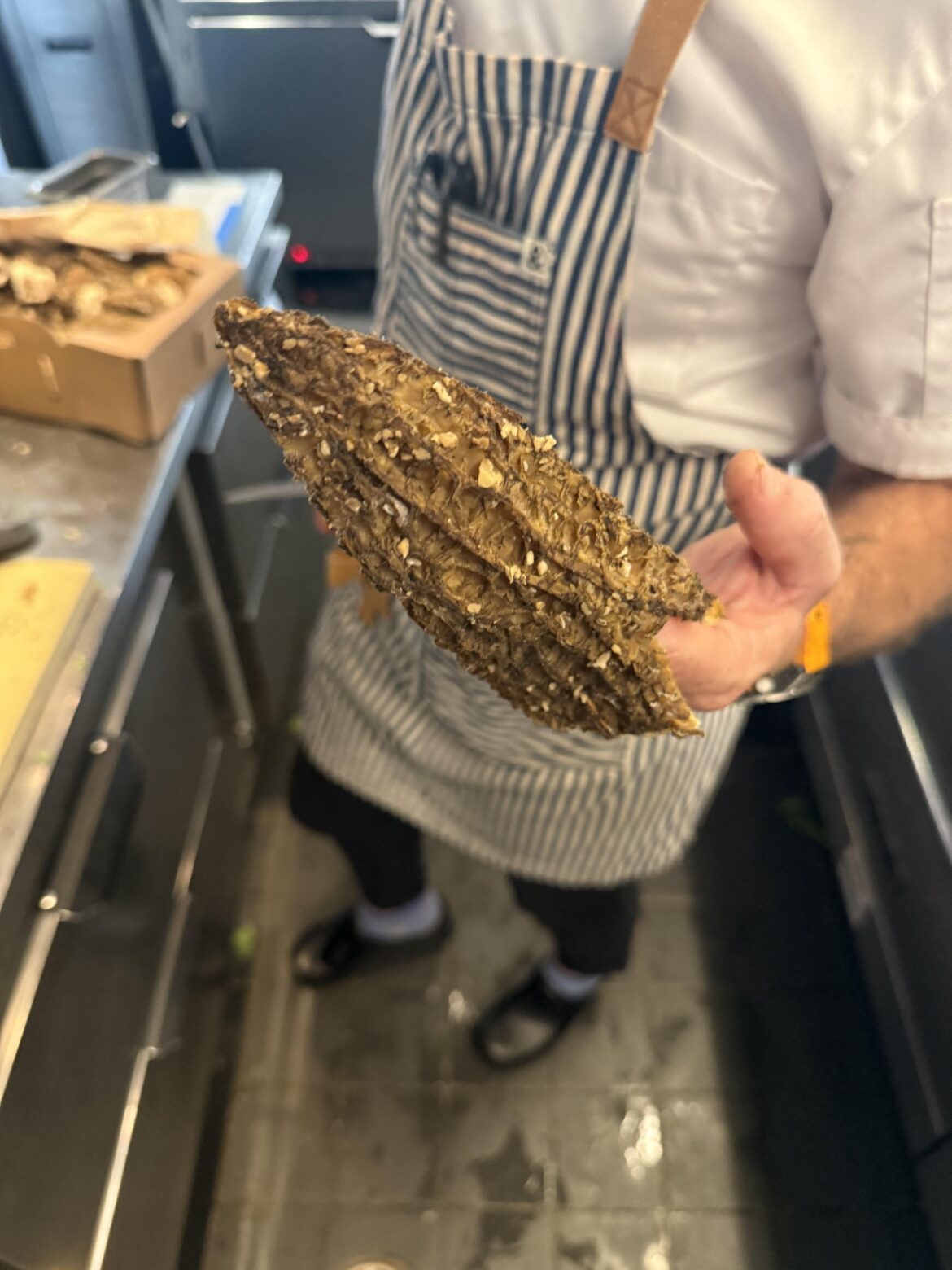 Morels for days
