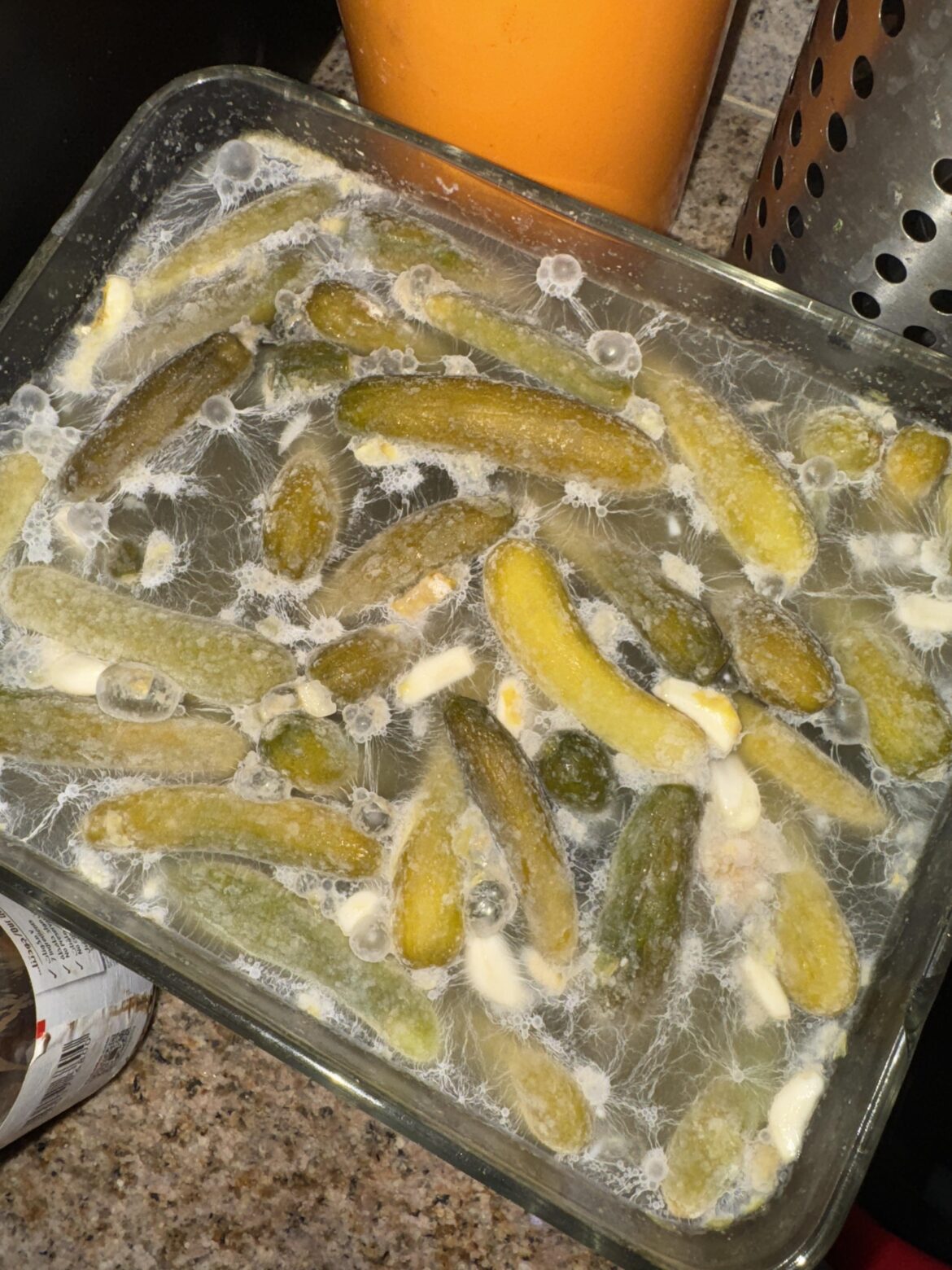 My attempt at making pickled baby cucumbers