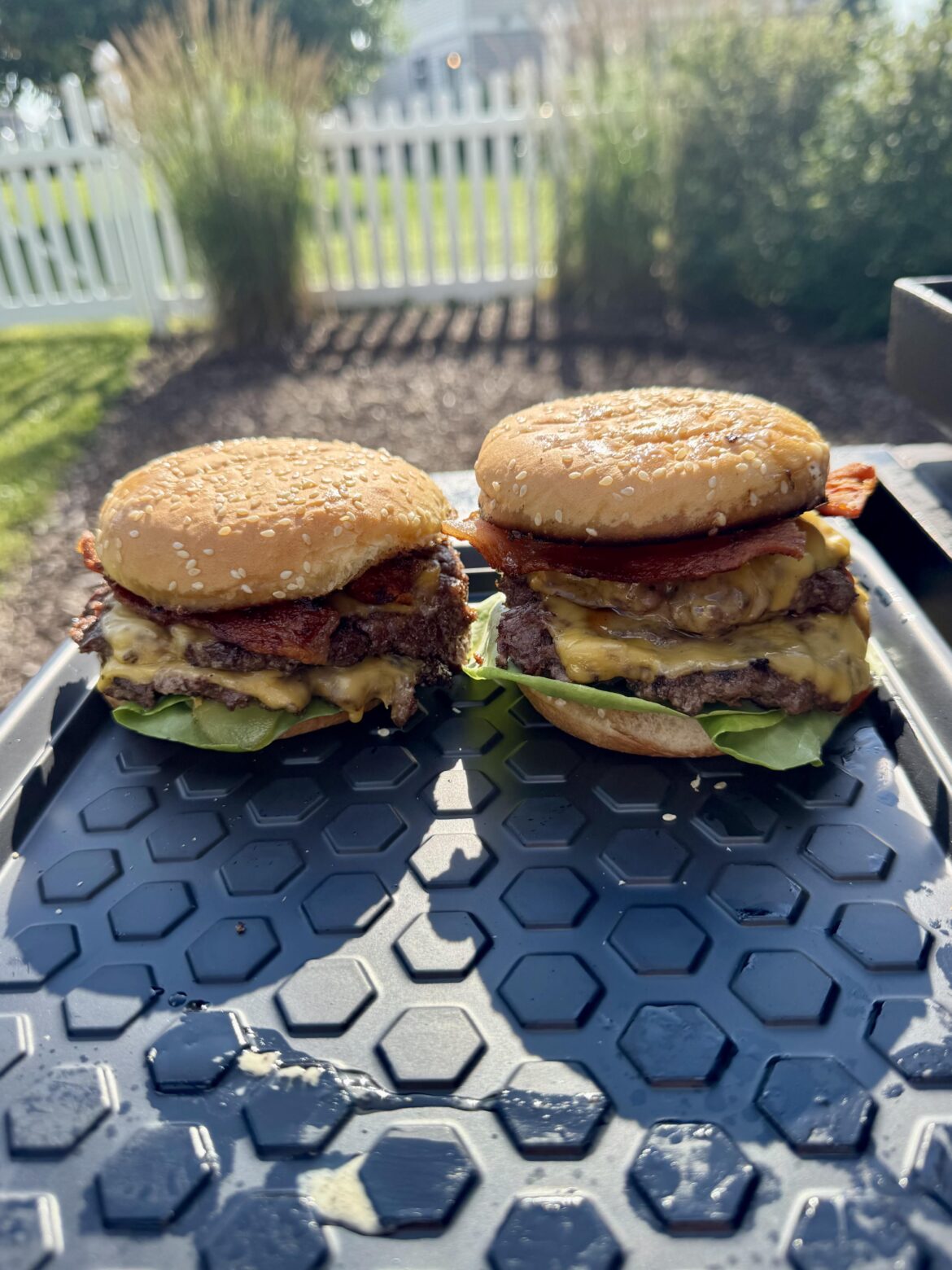 Bacon is good for me