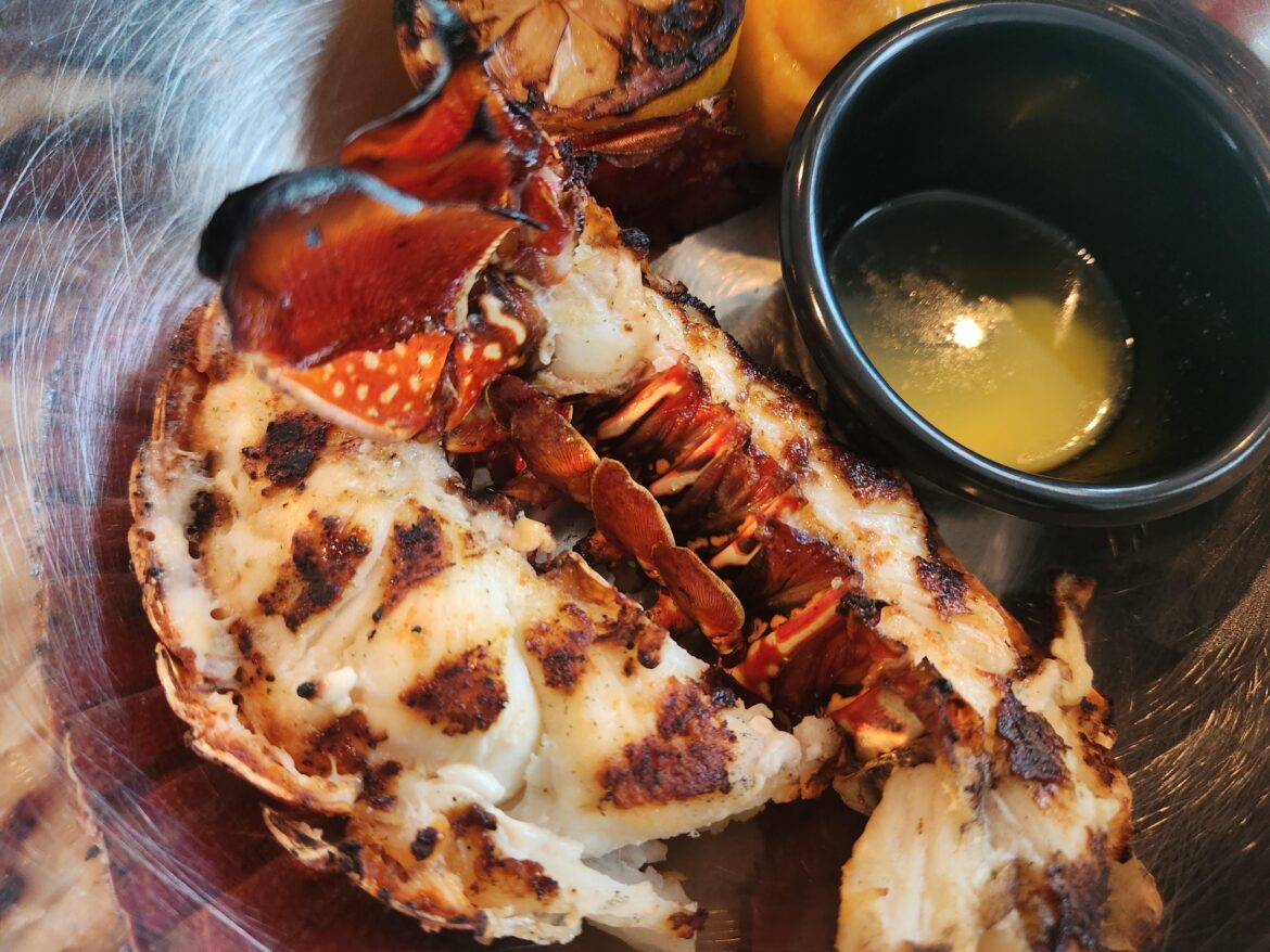 BF is out of town, commence the sea meat! BF is out of town, commence the sea meat!