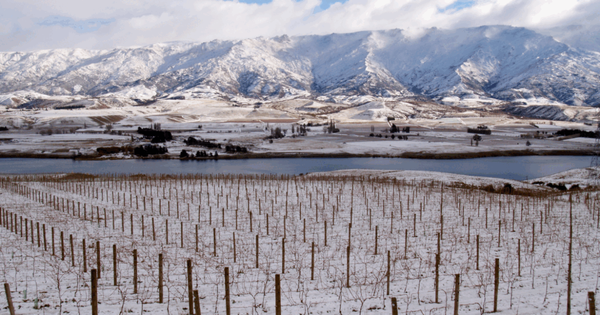 Halliday Wine Companion expands into New Zealand Halliday Wine Companion expands into New Zealand