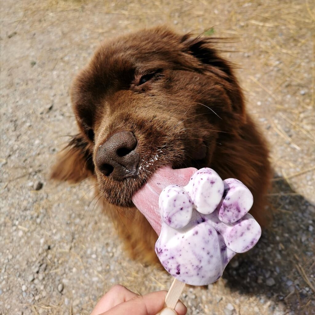 Ice cream for everyone!