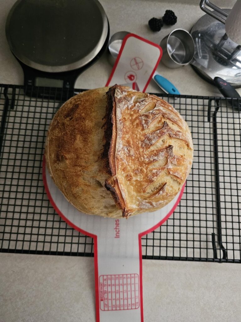 My first loaf. No body understands how much work went into this for the last 2 weeks! Thought you guys would appreciate it more.