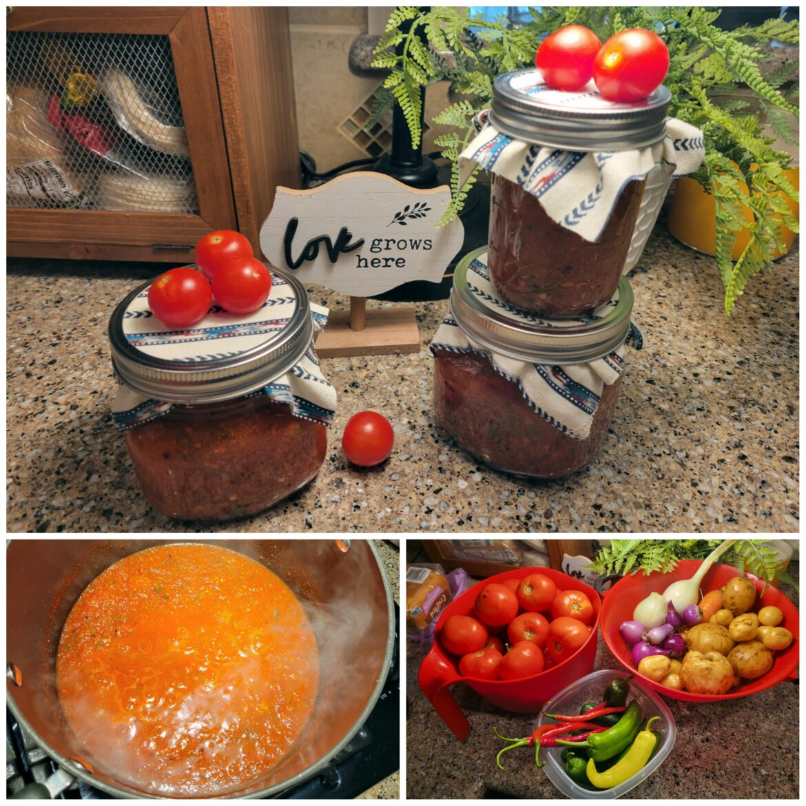 Homemade Independance Day salsa!