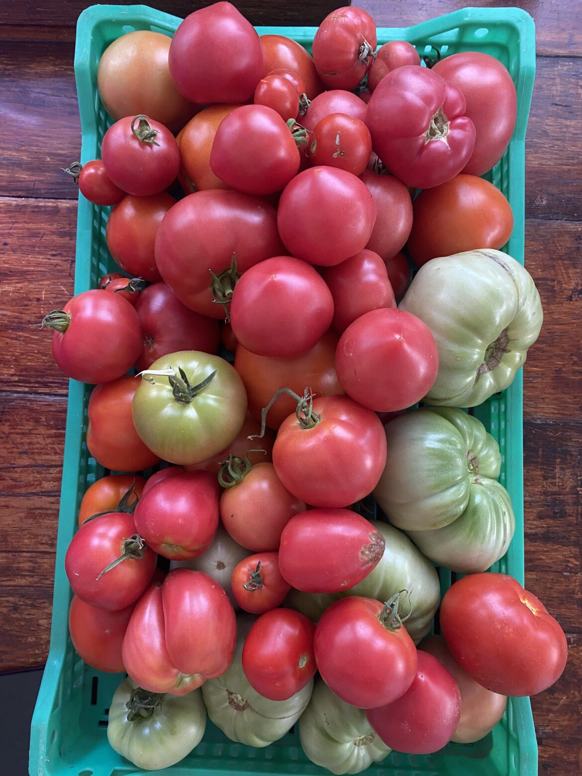 my beautiful maters !