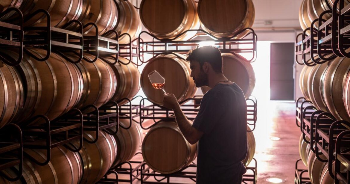 The Spanish wine industry, a symbol of tradition and global standard