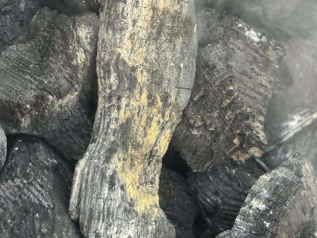 Is the yellow color mold on my used charcoal? Last cook was 6 weeks ago. No signs of mold on the Egg it self? Is this safe for a cook?