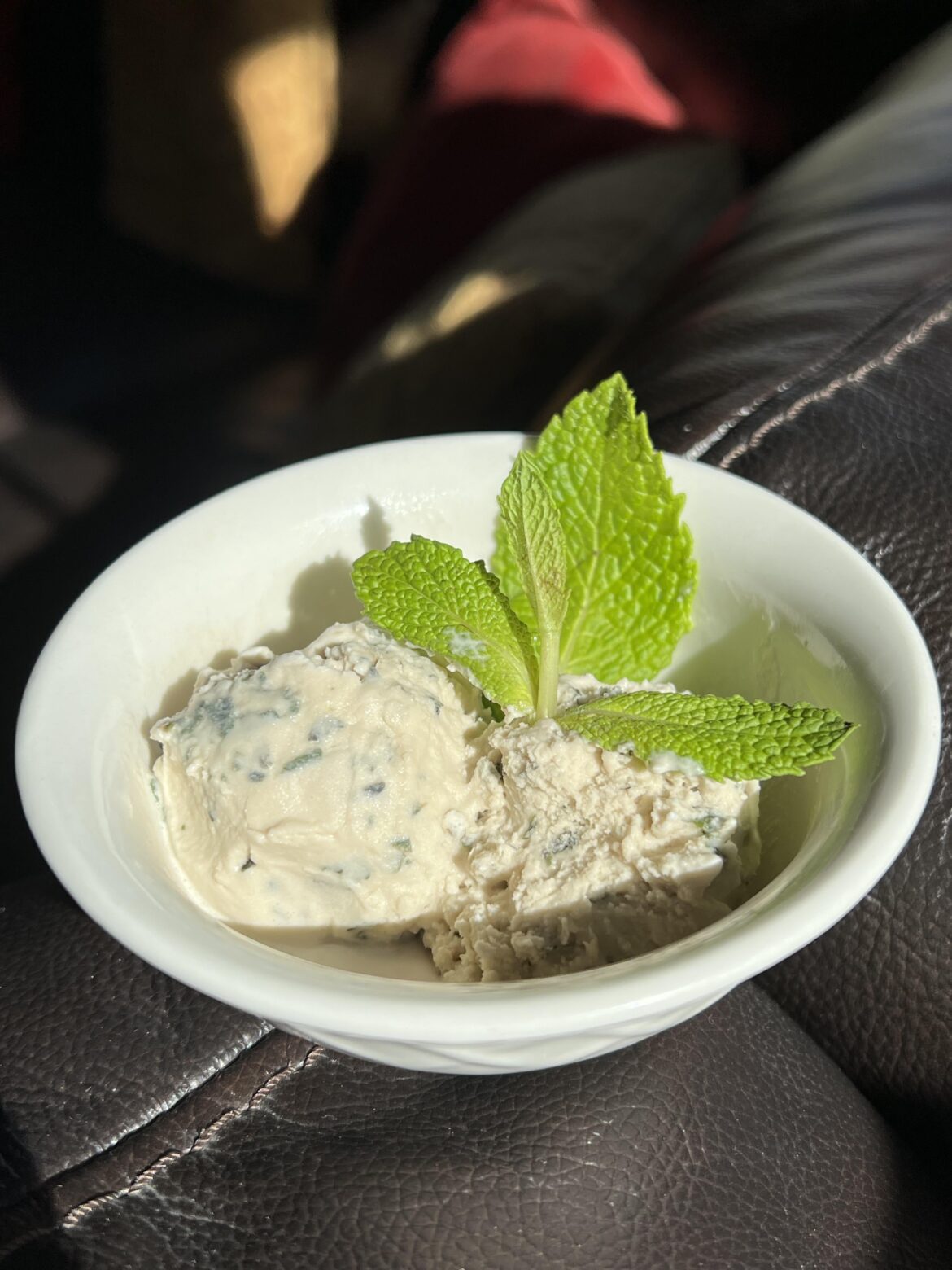 newbie checking in! mint ice cream newbie checking in! mint ice cream