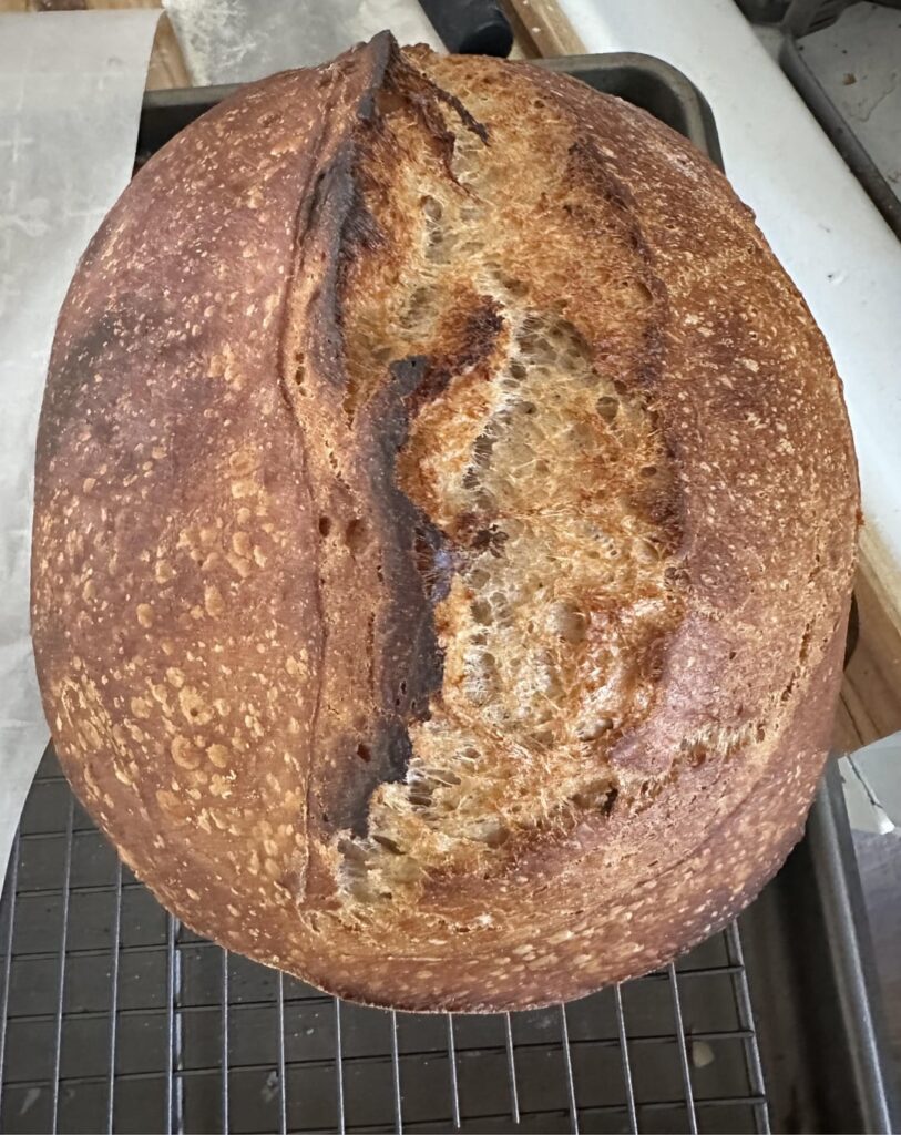 I stopped chasing the perfect loaf and now all of them are I stopped chasing the perfect loaf and now all of them are