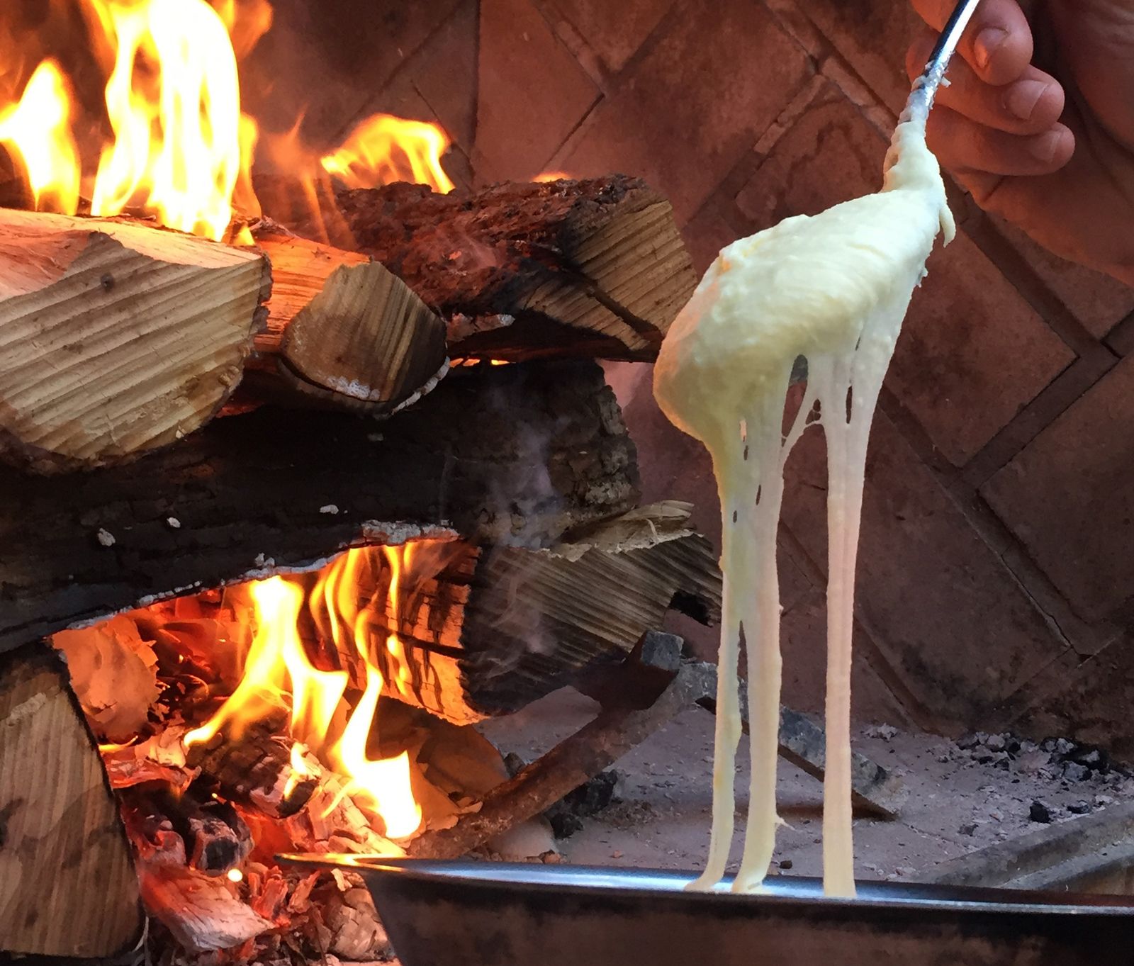 Image may contain Fire Flame Bonfire Bird Animal Human and Person