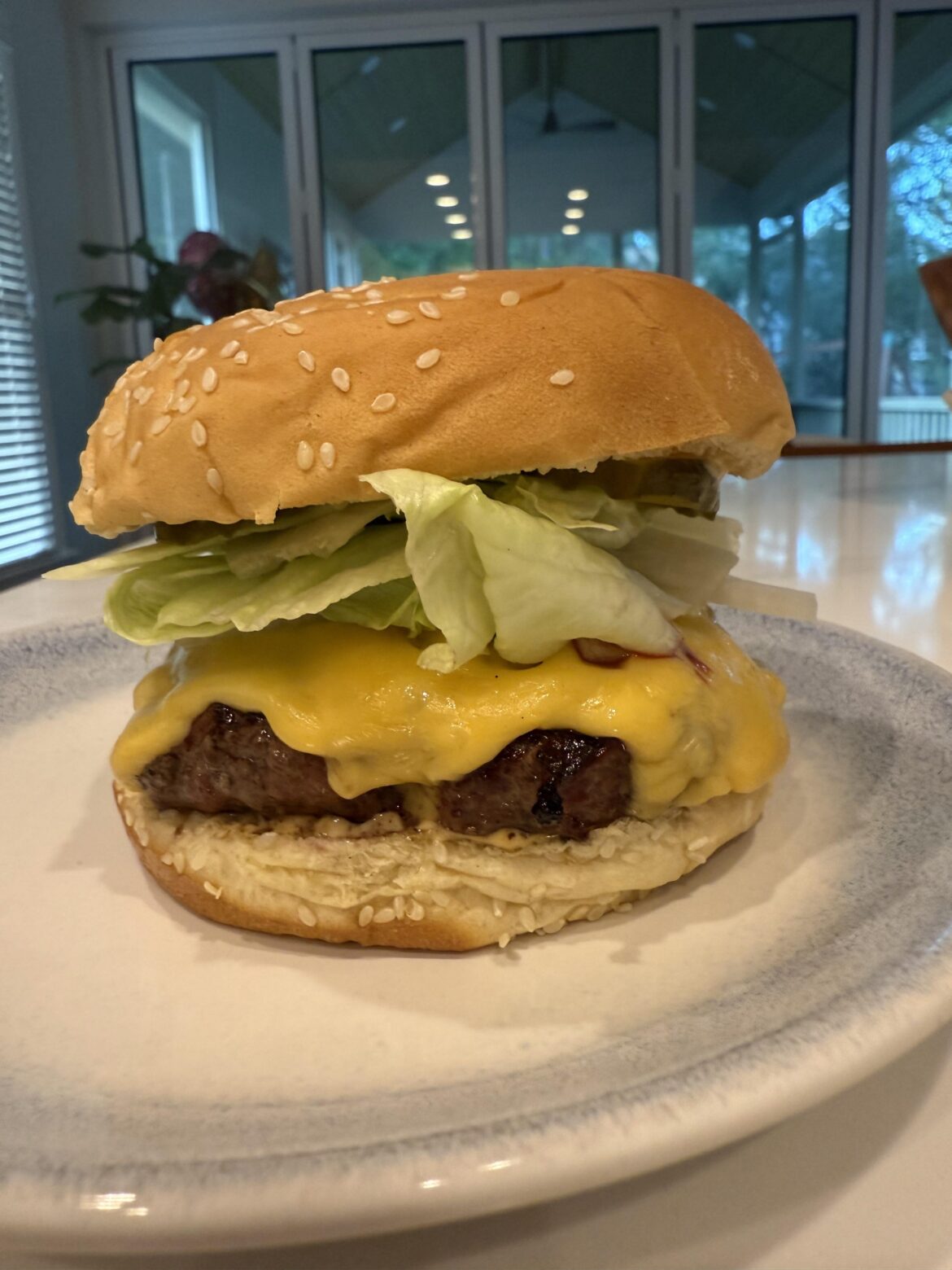 Just a classic burger