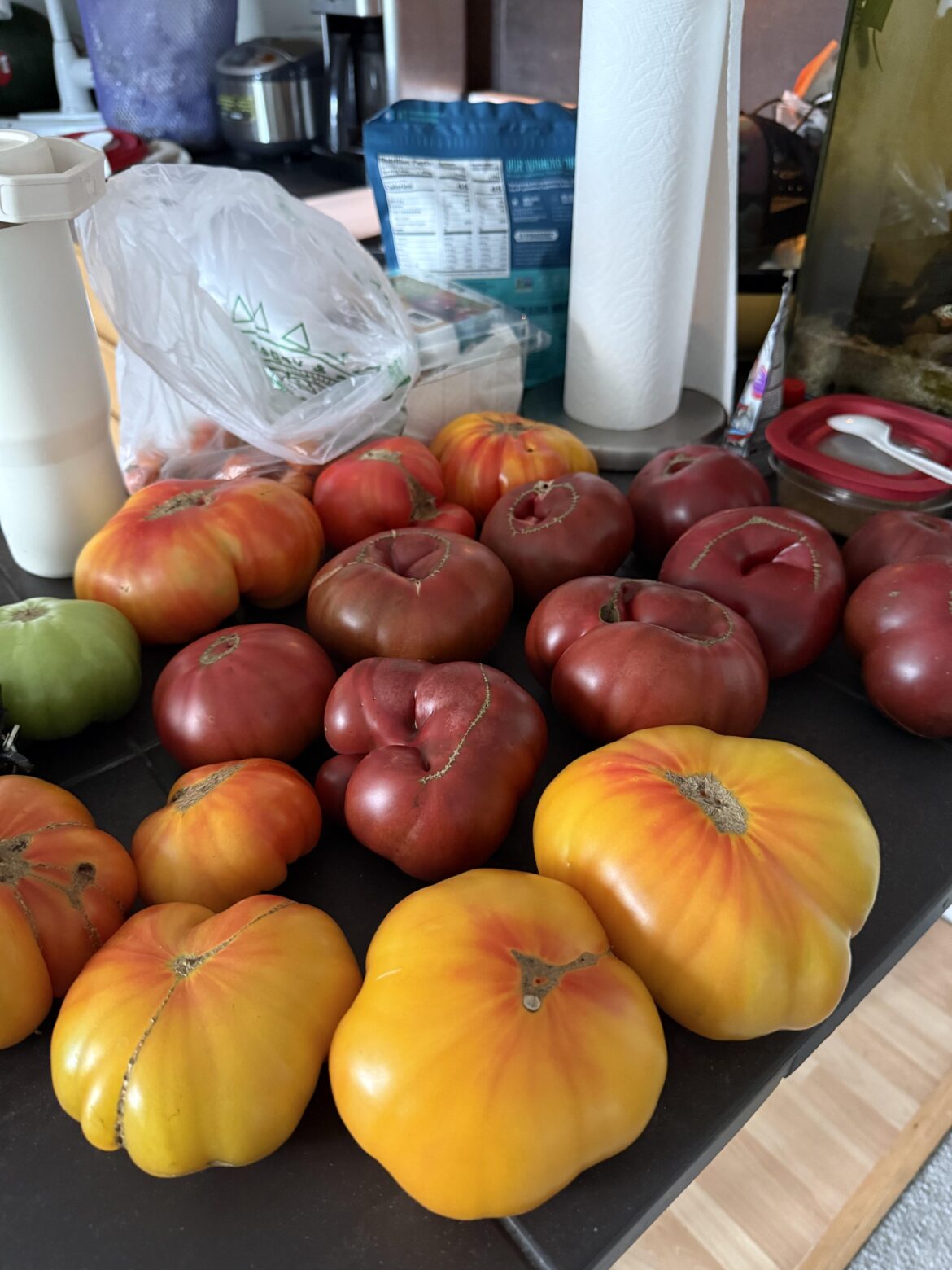 Harvesting on full speed. Give away time.