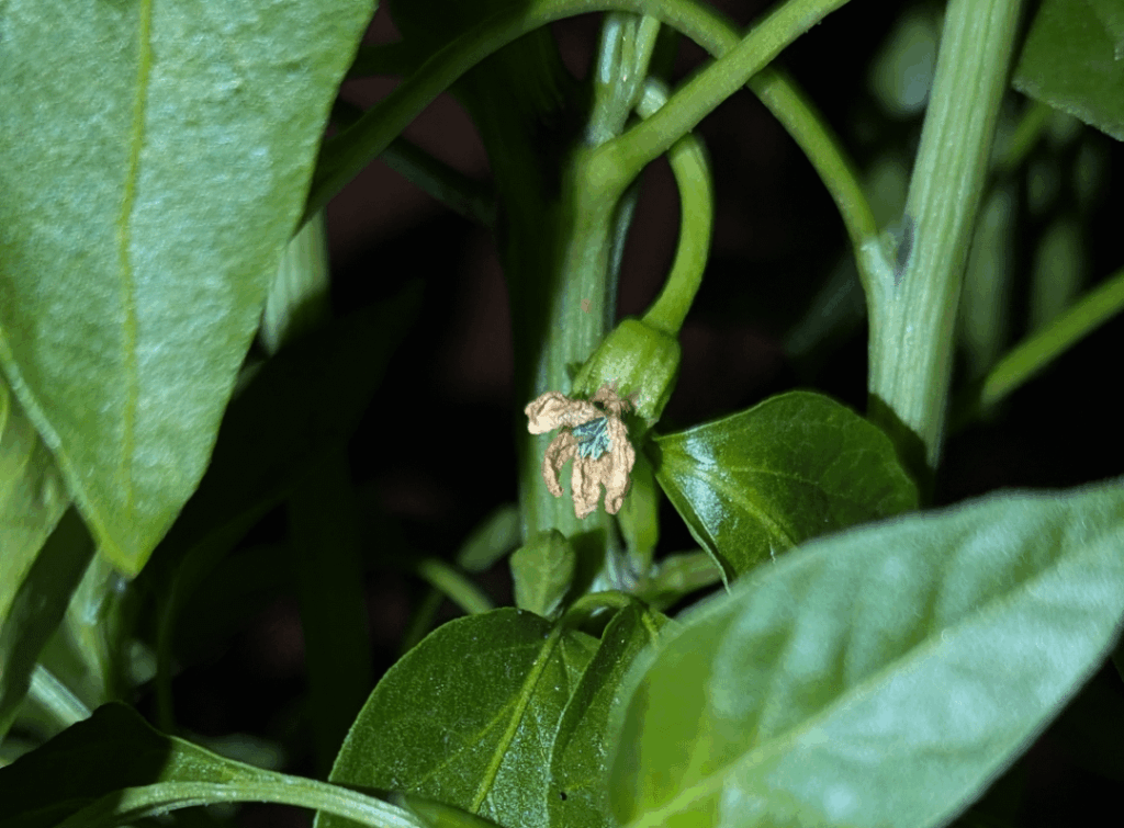 This good or bad? This good or bad?