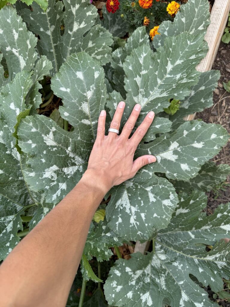 Things may be getting a bit out of hand