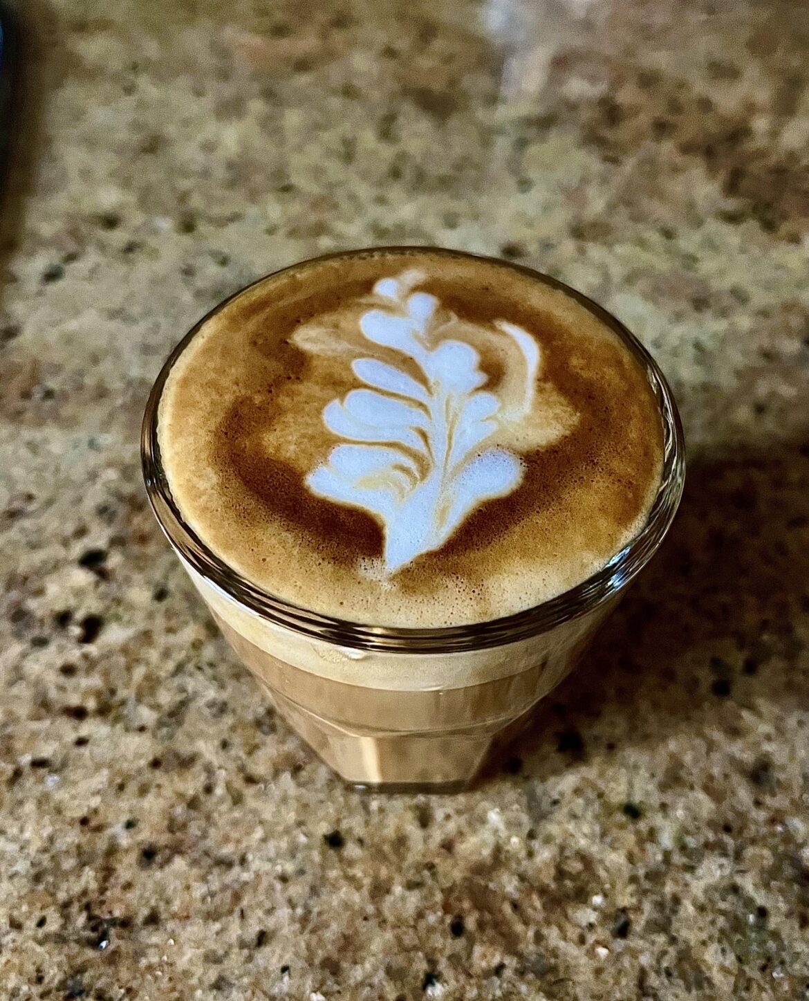 Cortado. 18 g in. 36 g out. Steamed milk.