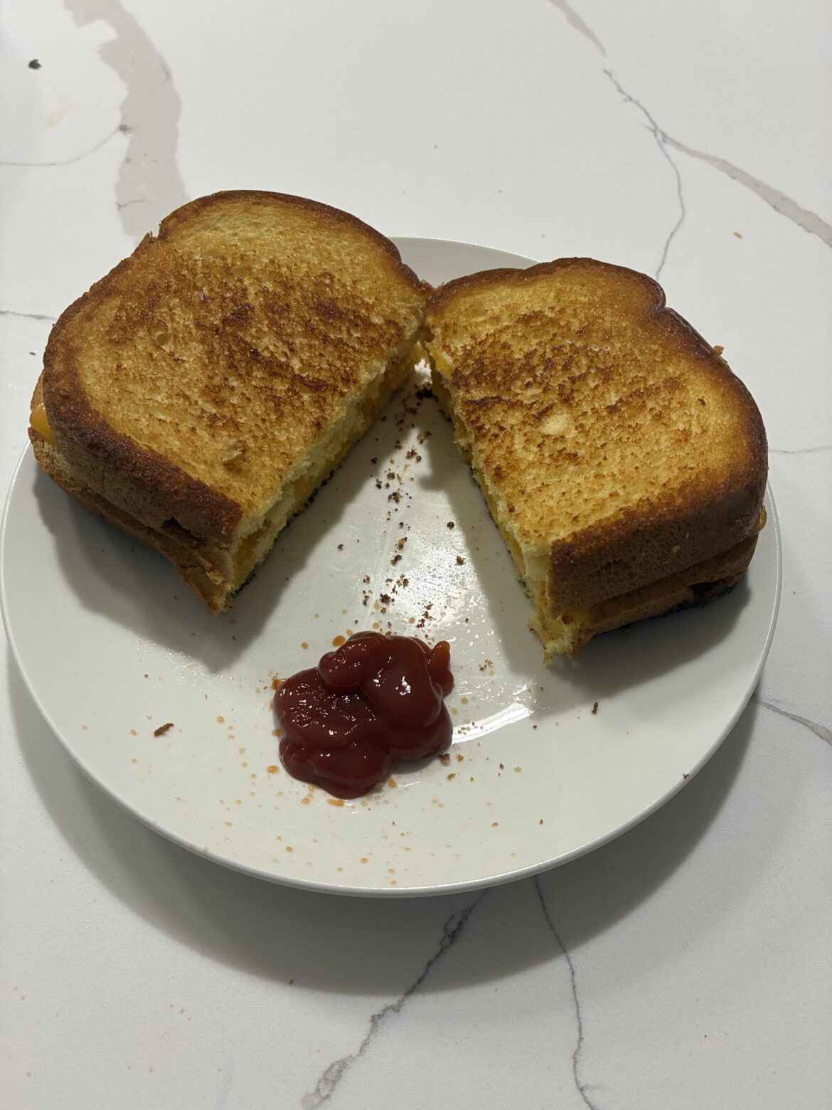 Cheddar on brioche + ketchup 🤌🤌🤌