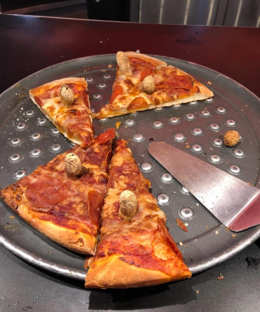 i have not been able to get this crime wiped from my memory