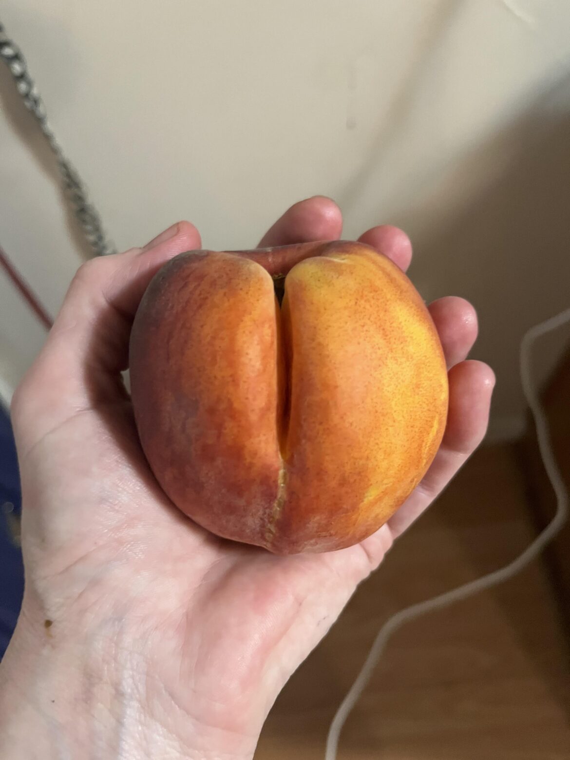 This peach about to get it